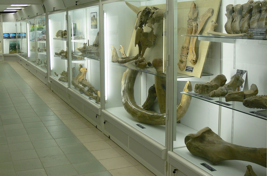 Зоологический музей БГУ